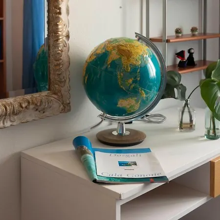 Gabbiani - Cala Gonone