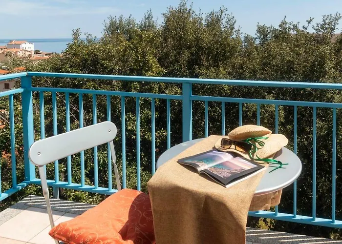 Gabbiani - * Cala Gonone