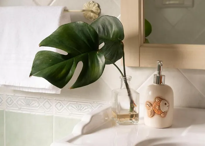 Gabbiani - * Cala Gonone