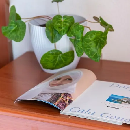 Gabbiani - * Cala Gonone