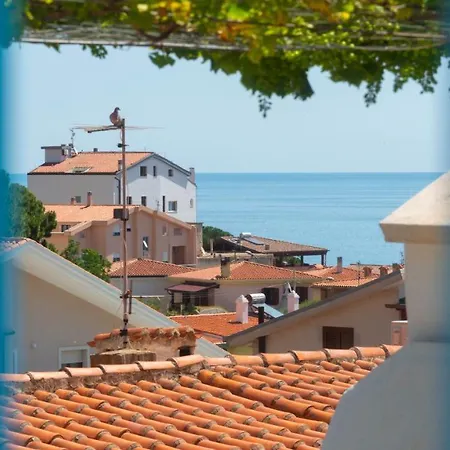 Gabbiani -