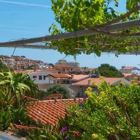 Gabbiani - Cala Gonone